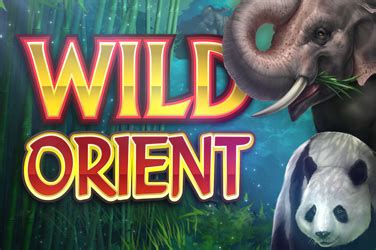 wild orient slots|Wild Orient Slot review from MicroGaming .
